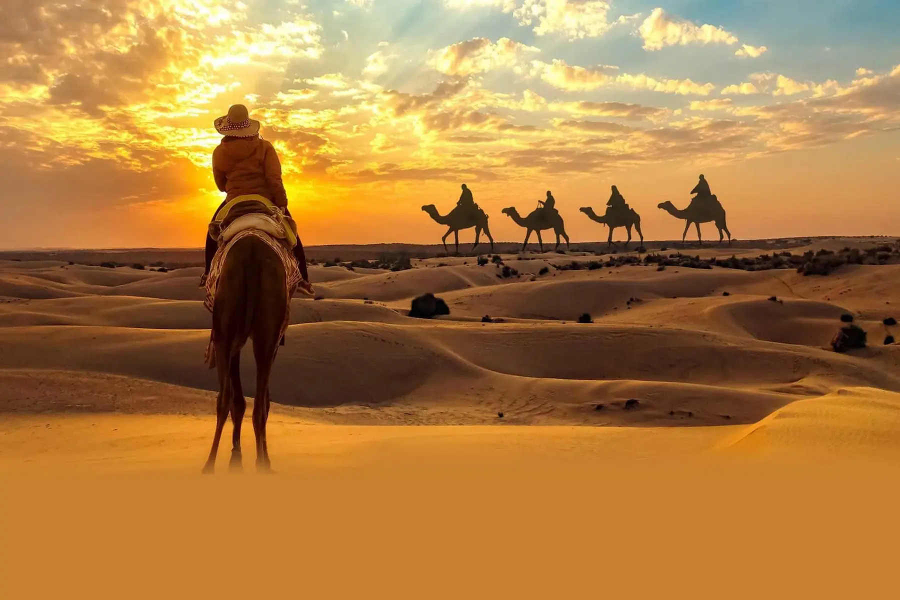 Abu Dhabi desert safari with dune bashing across golden desert dunes