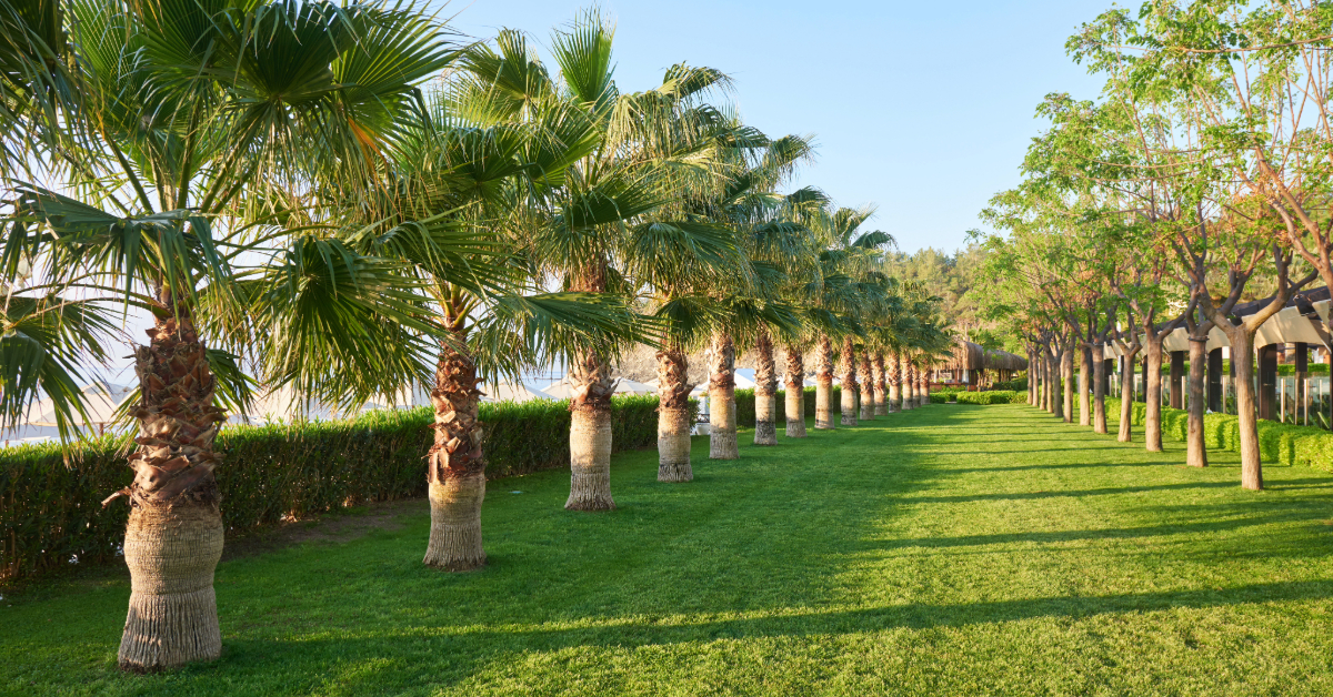 Outdoor recreational area at Al Nahda Park Dubai